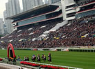 sha tin racecourse