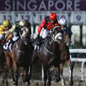 singapore races
