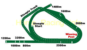 horse race track layout