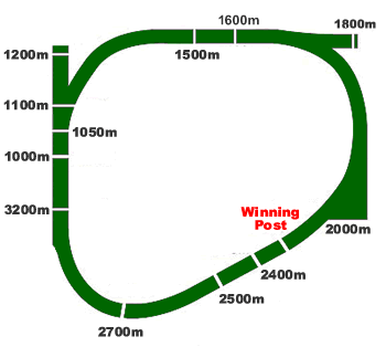 morphettville racecourse